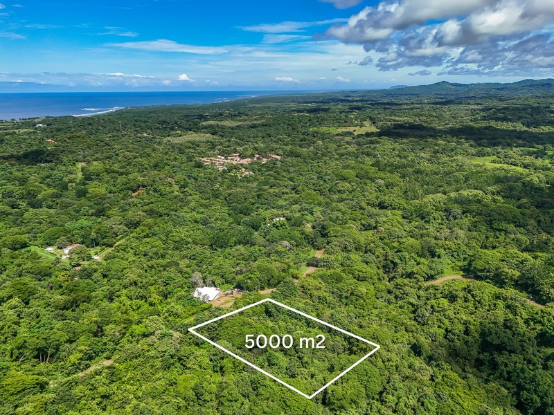 Land For Sale in Lagarto Costa Rica